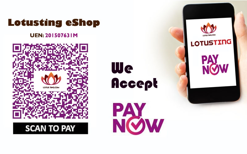 Lotusting eShop accept PayNow